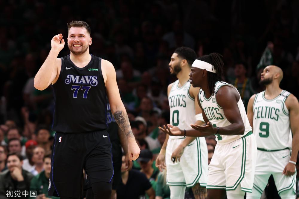 玫瑰绽放 玫瑰绽放